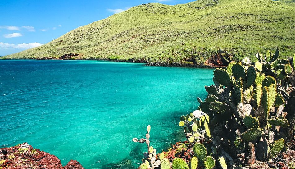 Türkises Wasser an der Küste der Galapagos Inseln